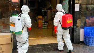 榆林常见的家庭害虫有哪些？榆林杀虫公司哪家好？