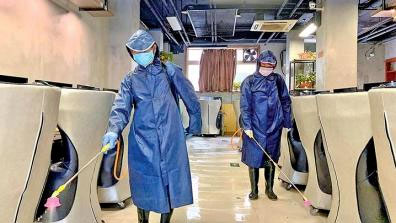 榆林灭白蚁,白蚁的危害有哪些,家庭中出现白蚁如何有效解决？