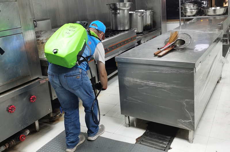 某四星级酒店厨房消杀