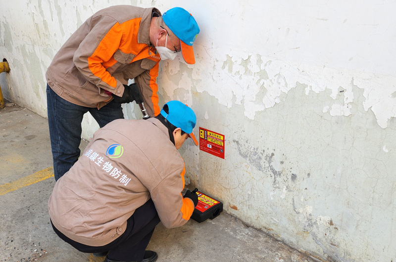 某小区鼠疫防治